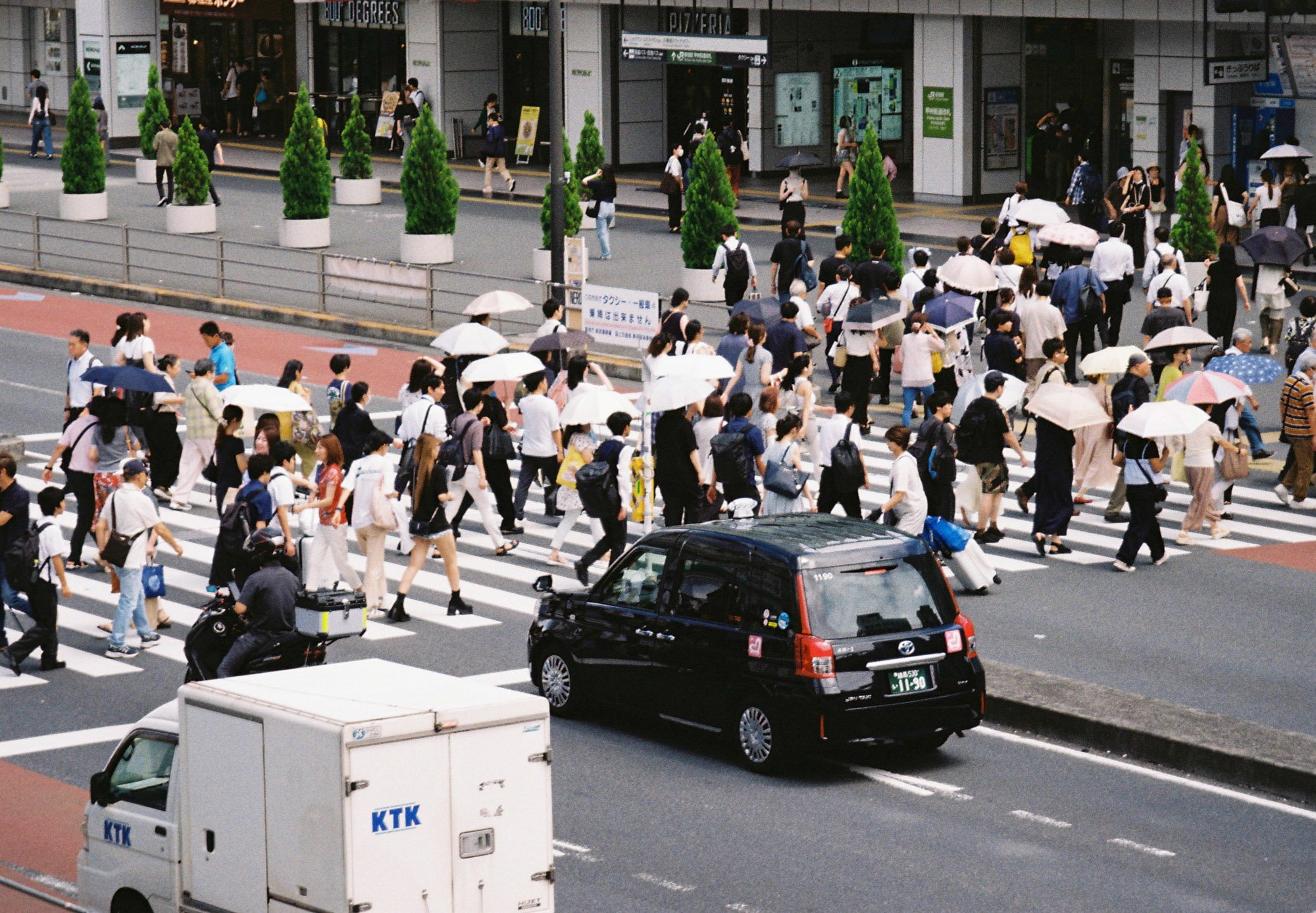 Film photograph