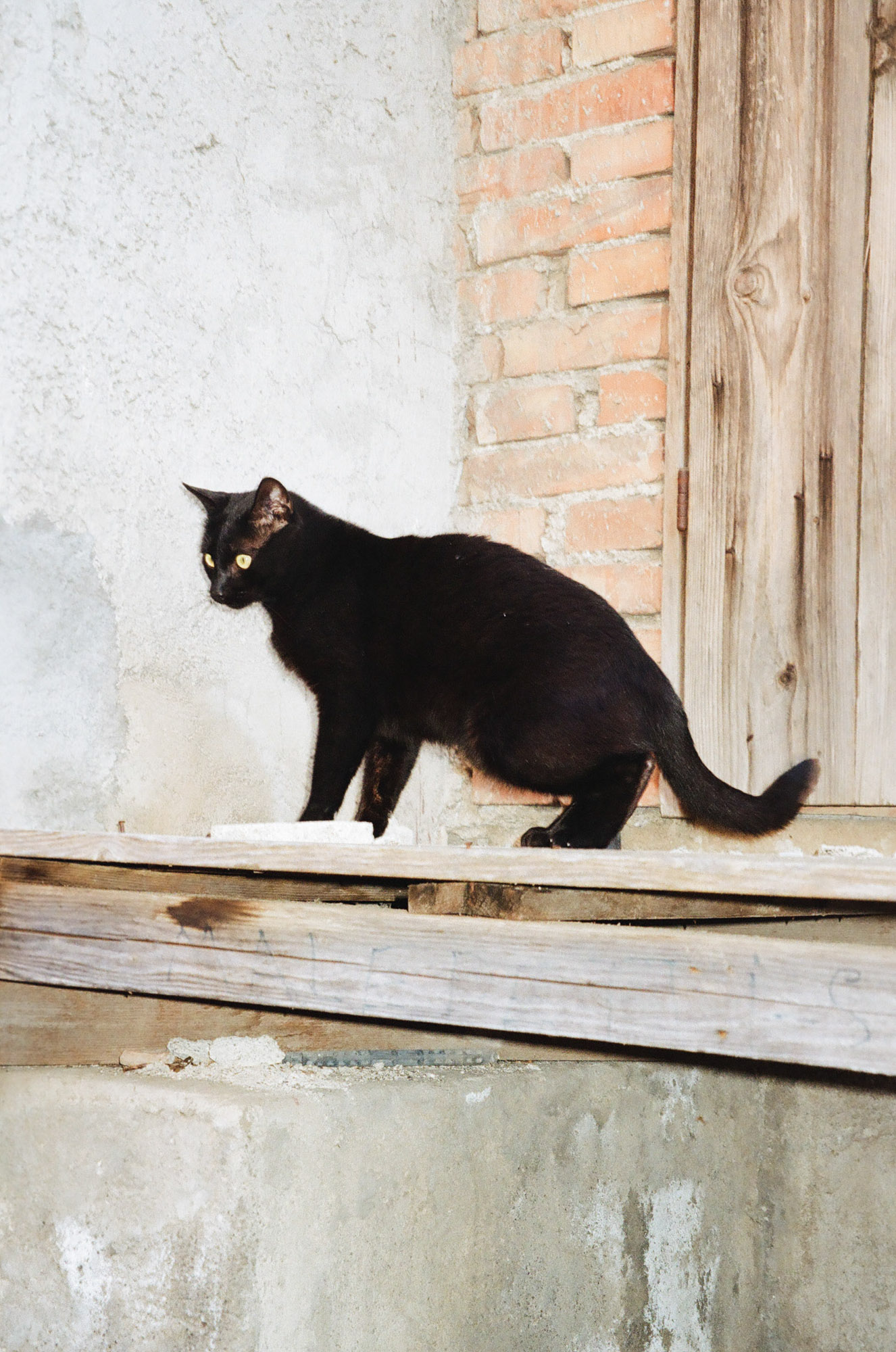 Film photograph
