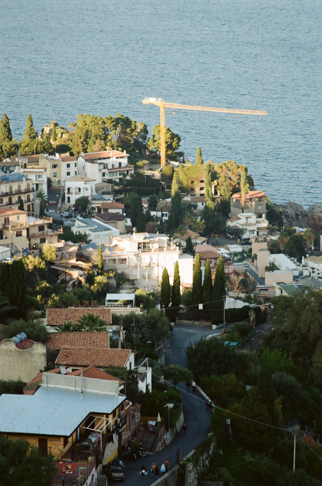 Film photograph