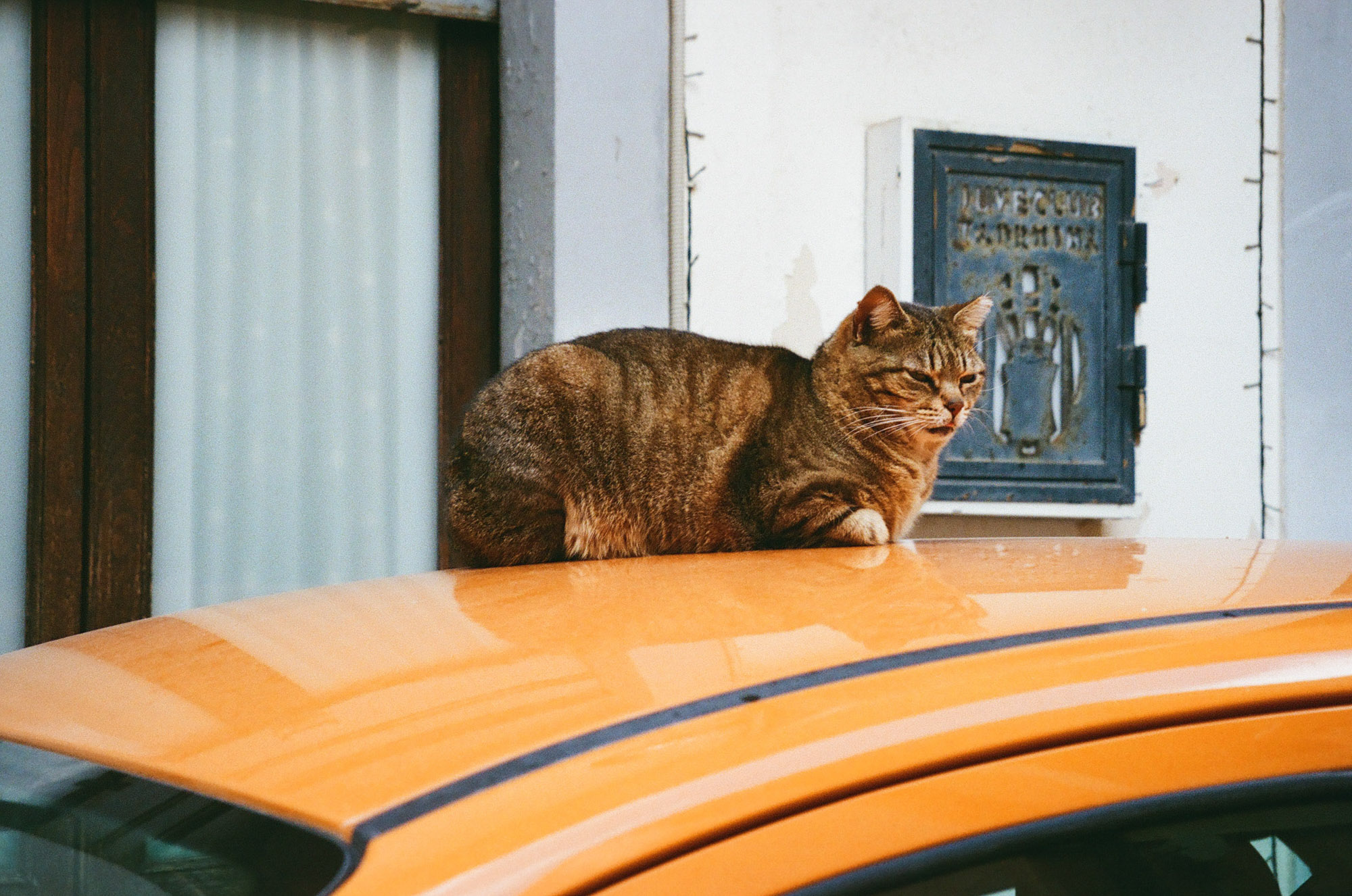 Film photograph