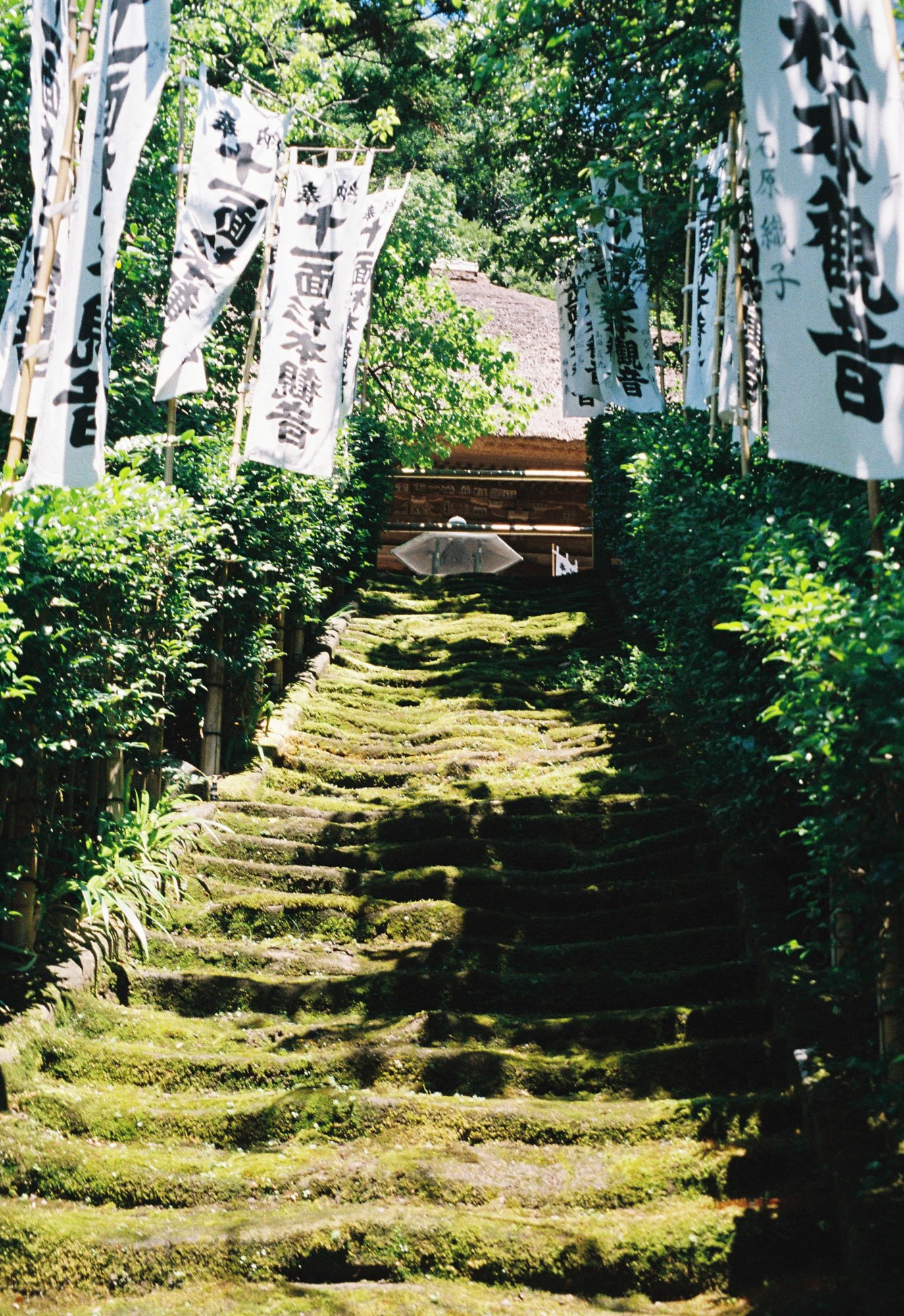 Film photograph