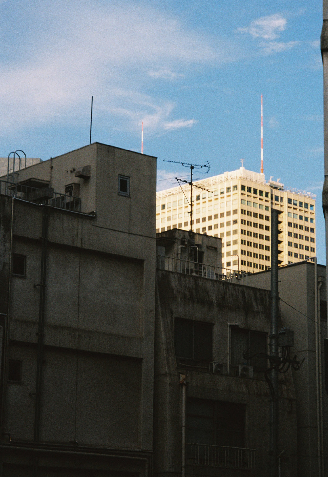 Film photograph