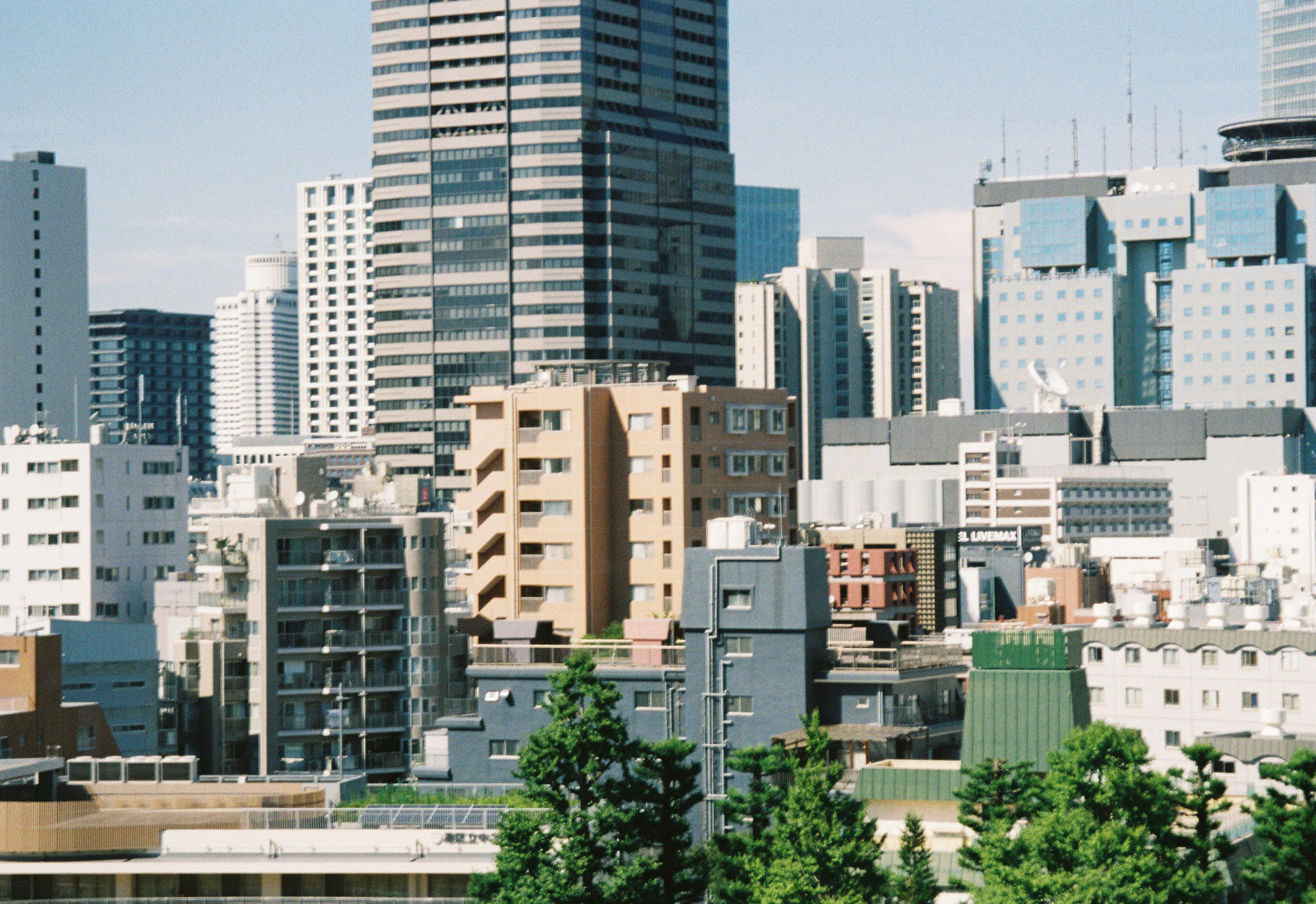 Film photograph