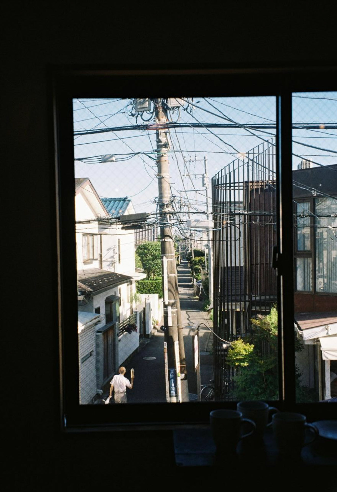Film photograph