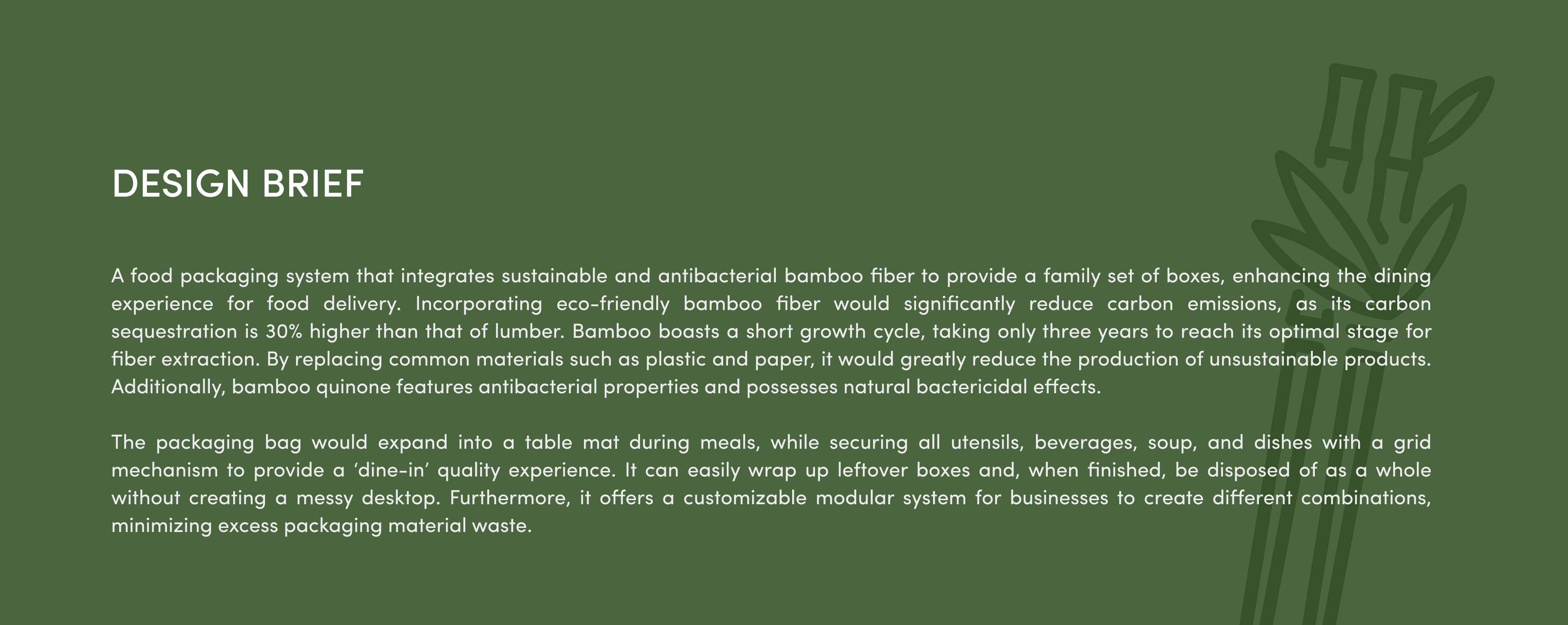 Eco Eats, Bamboo Box project visual 2