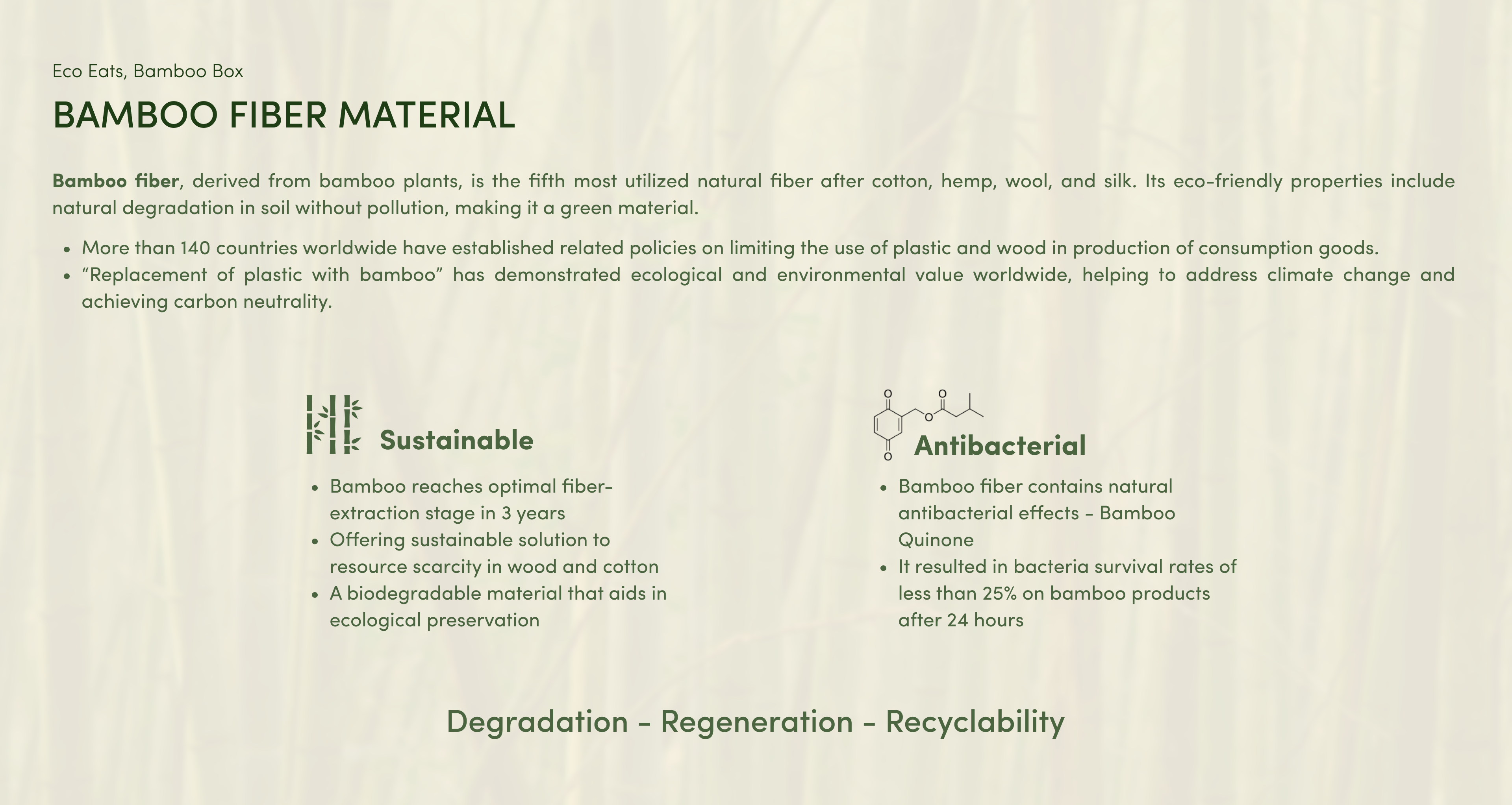 Eco Eats, Bamboo Box project visual 3
