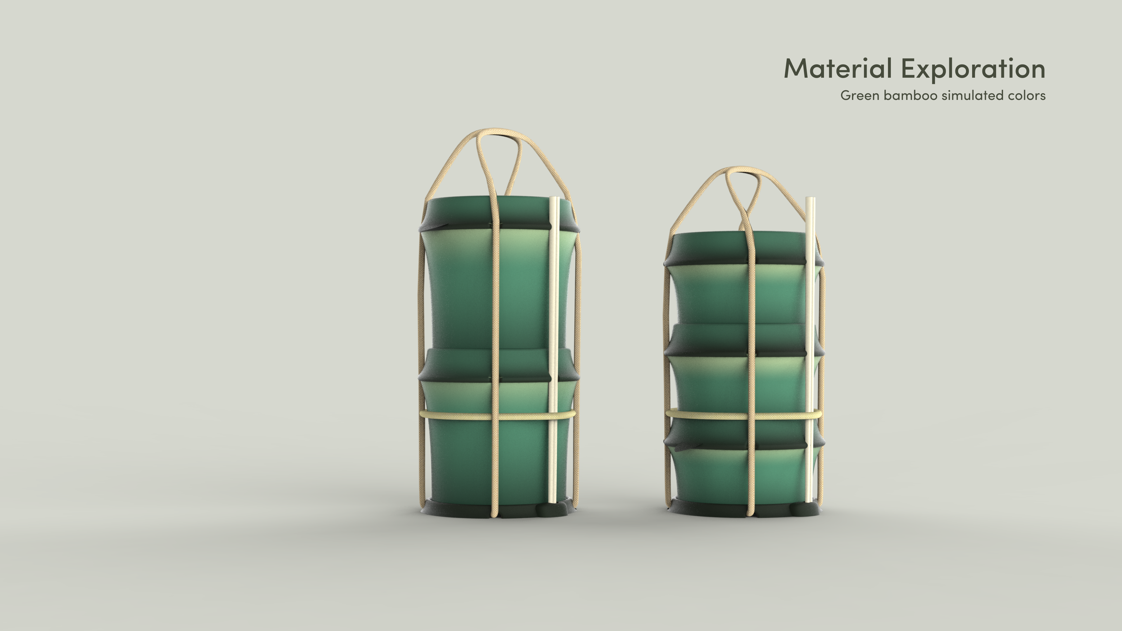Eco Eats, Bamboo Box project visual 8