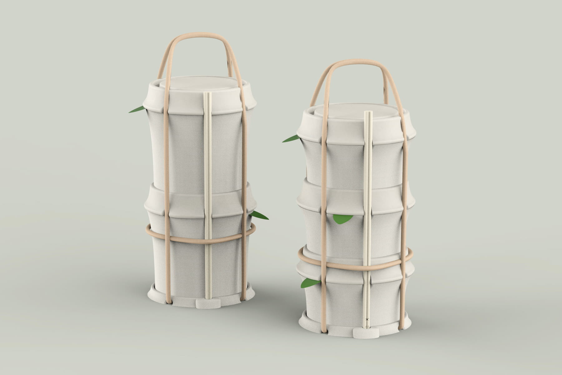 Eco Eats, bamboo Box project cover